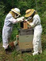 Susanna and Thomas setting up the new hive.
