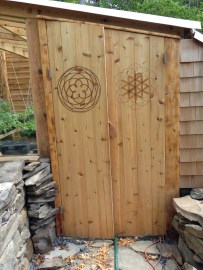 Kiss of Venus on the greenhouse door