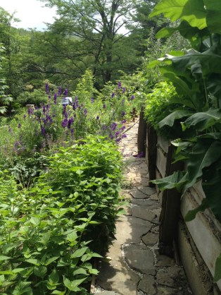 Photo Credit: Susanna Raeven