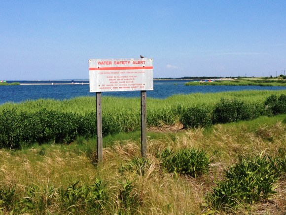 Gateway National Recreation Area, Sandy Hook, NJ