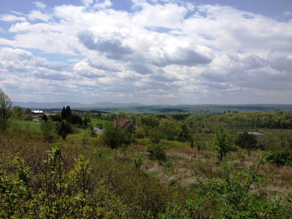 Gorgeous view of the Catskills Mountains at Jane's house