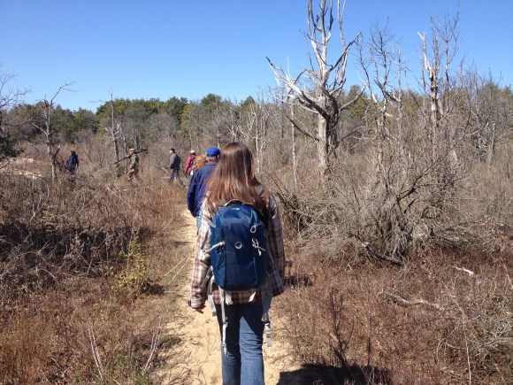 Birding on Sandy Hook, Highlands, New Jersey