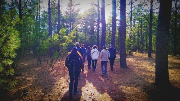 12973101_10154080604834859_3853774981761330481_o